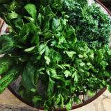 Chlorophyll | Green Leafy Vegetables - Nutrition Ibiza